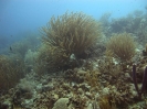 Bonaire_3